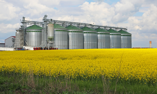 Biodiesel (10)